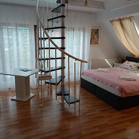 Pension Donaublick Grein 2 In Stifterstrasse19. Lägenhet Exteriör bild