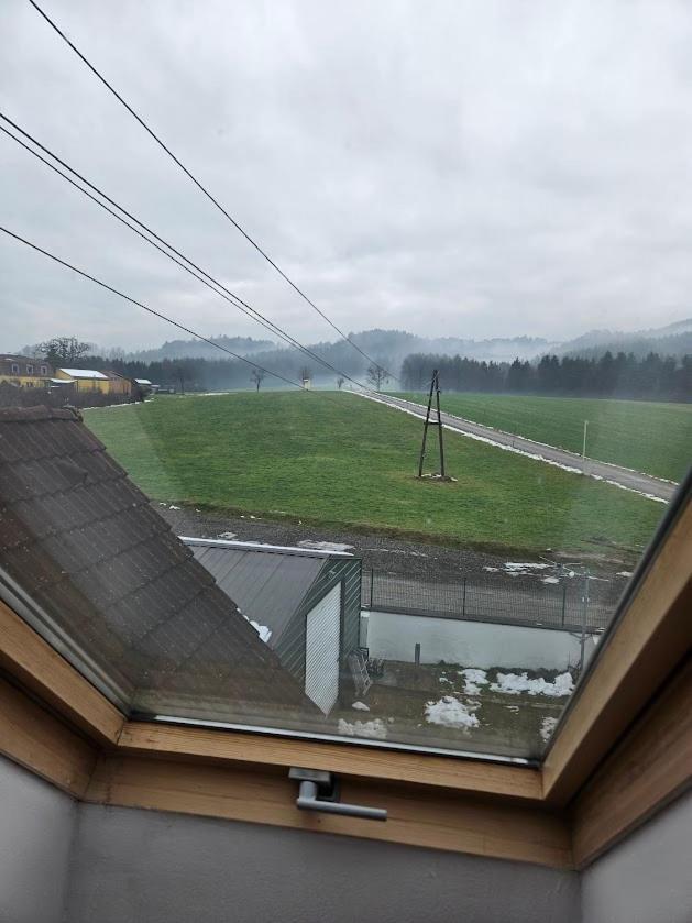 Pension Donaublick Grein 2 In Stifterstrasse19. Lägenhet Exteriör bild