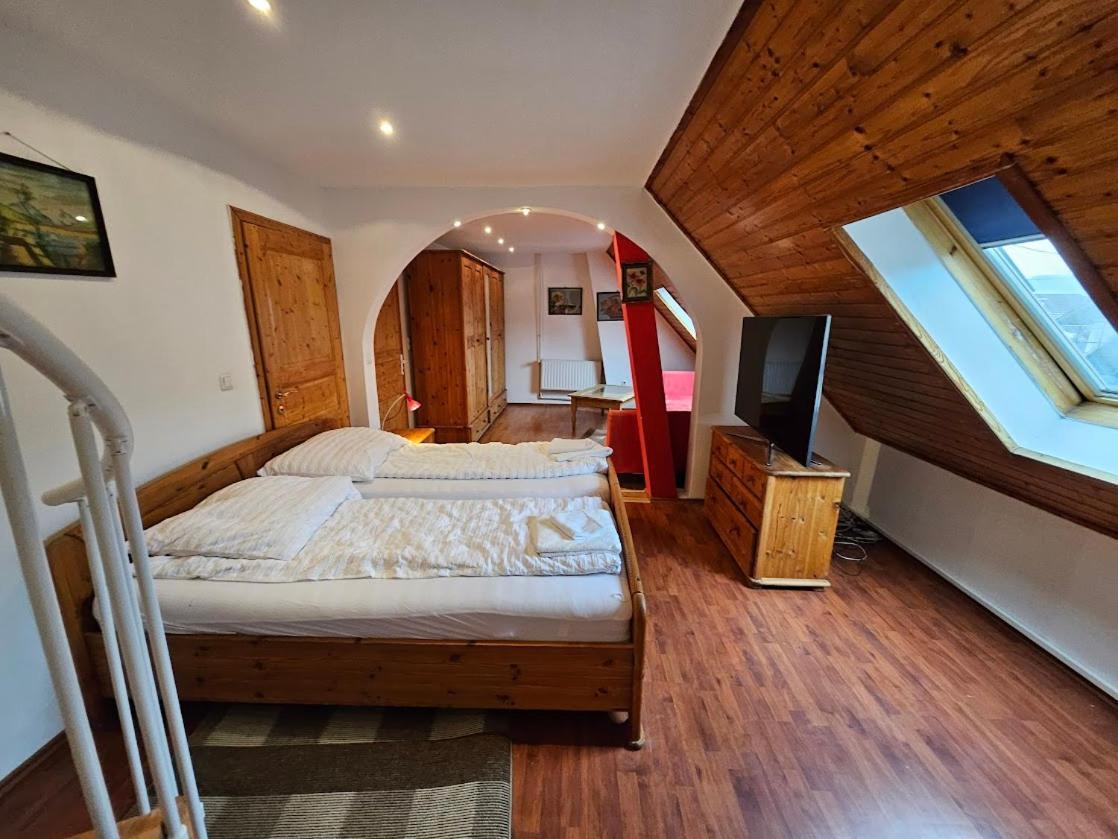 Pension Donaublick Grein 2 In Stifterstrasse19. Lägenhet Exteriör bild