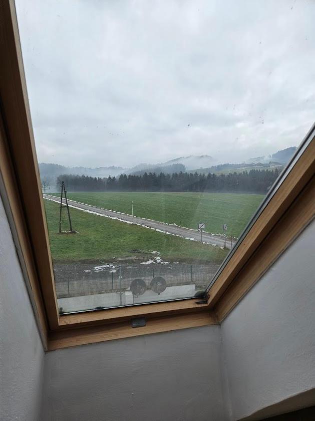Pension Donaublick Grein 2 In Stifterstrasse19. Lägenhet Exteriör bild