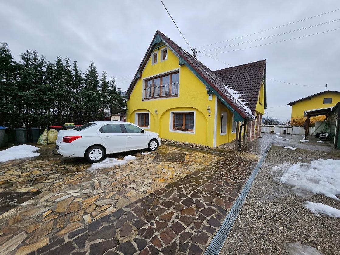 Pension Donaublick Grein 2 In Stifterstrasse19. Lägenhet Exteriör bild